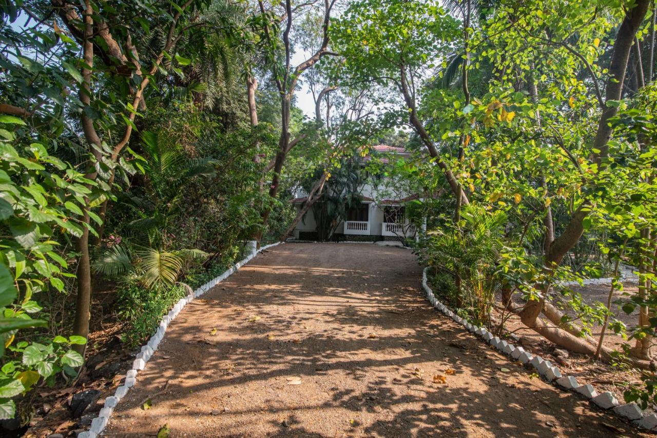 Saffronstays Chikoo Wadi- 3Bdr Pet-Friendly Villa With Pool In Boisar Ngoại thất bức ảnh