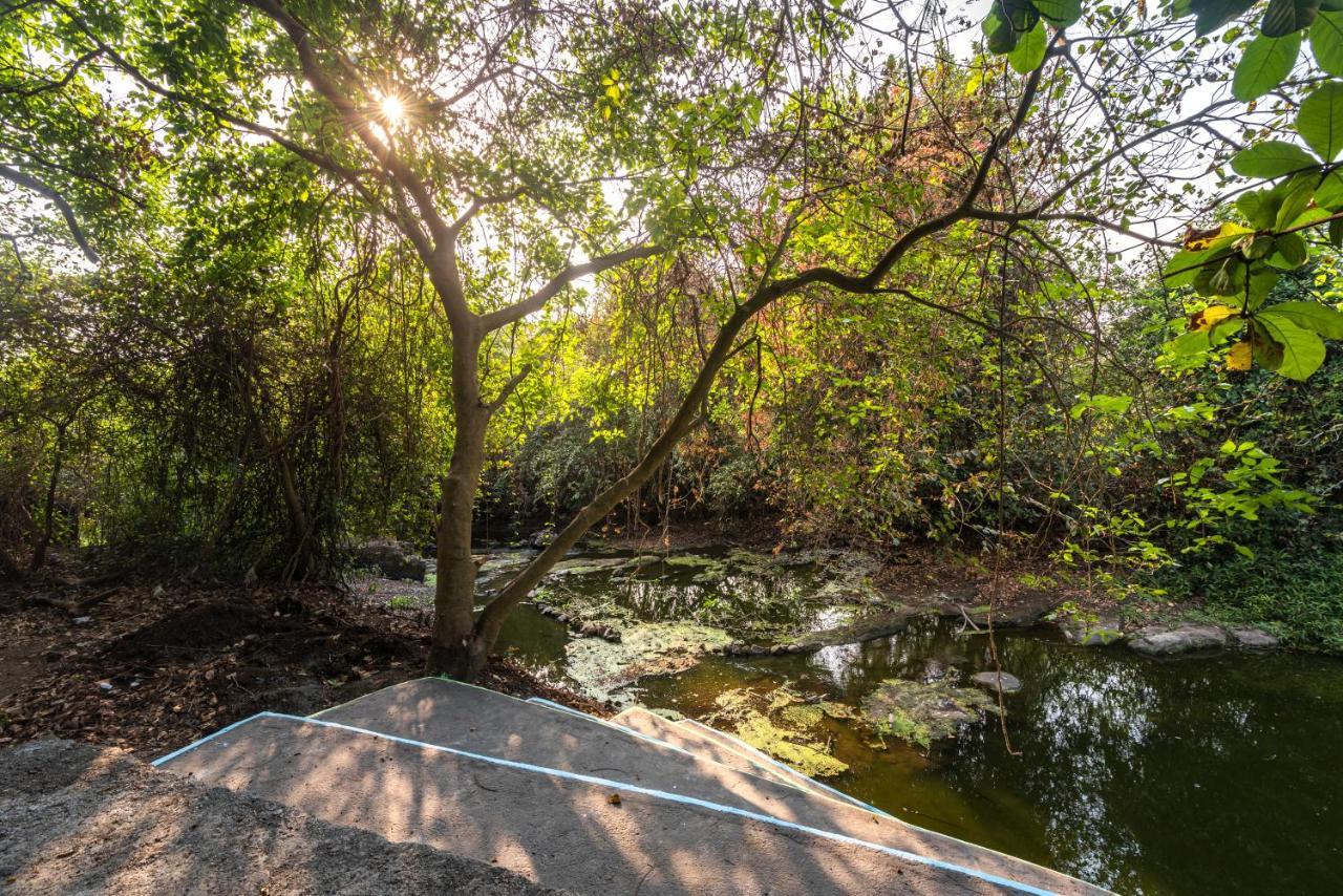 Saffronstays Chikoo Wadi- 3Bdr Pet-Friendly Villa With Pool In Boisar Ngoại thất bức ảnh
